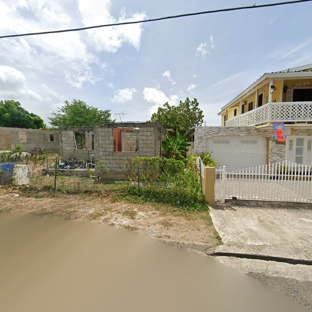 Reporte ciudadano de estorbo público en XRC9+HV8 Pozo Hondo, Guayama, Puerto Rico, Guayama