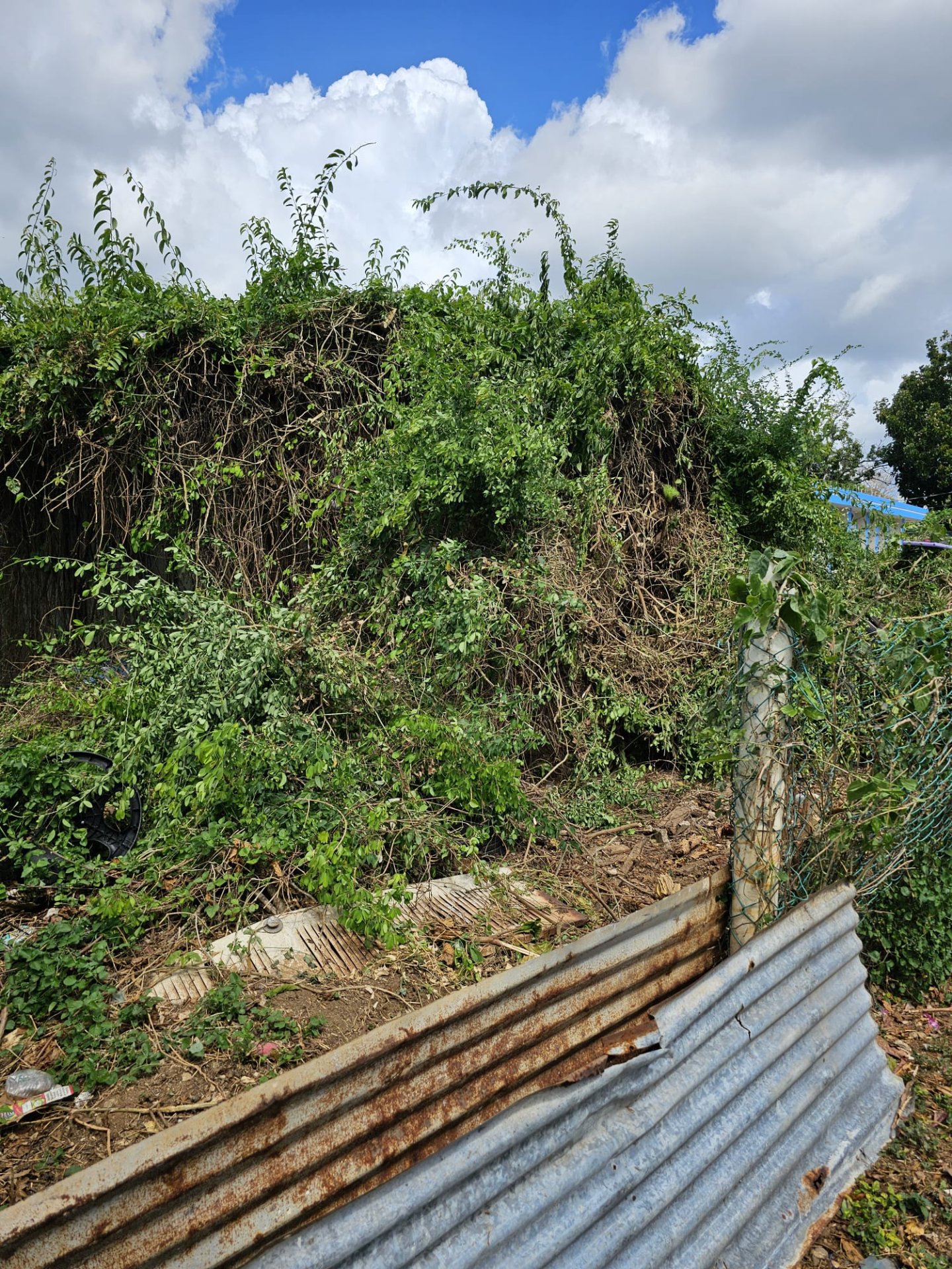 Reporte ciudadano de estorbo público en URB VIVES C 252  CALLE 2, Guayama, PR 00784, Guayama