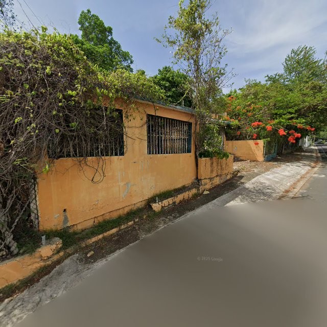 Reporte ciudadano de estorbo público en XWV8+42H Guayama, Puerto Rico, Guayama