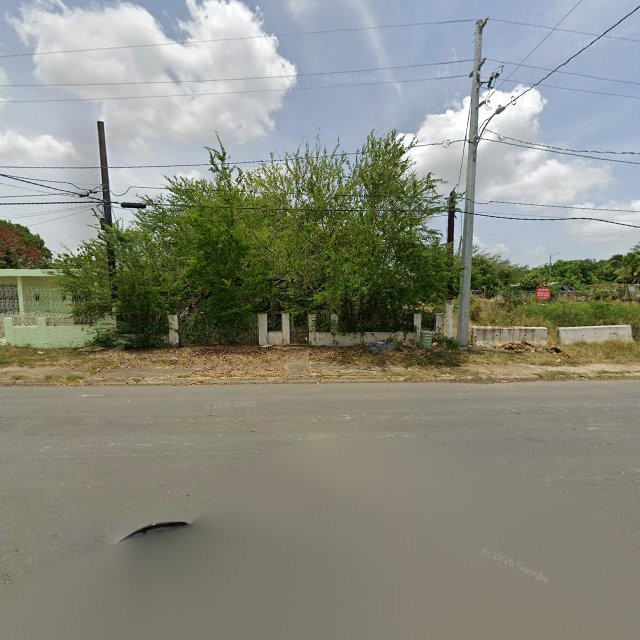 Reporte ciudadano de estorbo público en XR3M+F6J Jobos, Guayama, Puerto Rico, Guayama