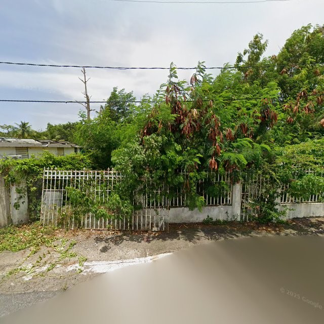 Reporte ciudadano de estorbo público en XR2C+P98 Jobos, Guayama, Puerto Rico, Guayama