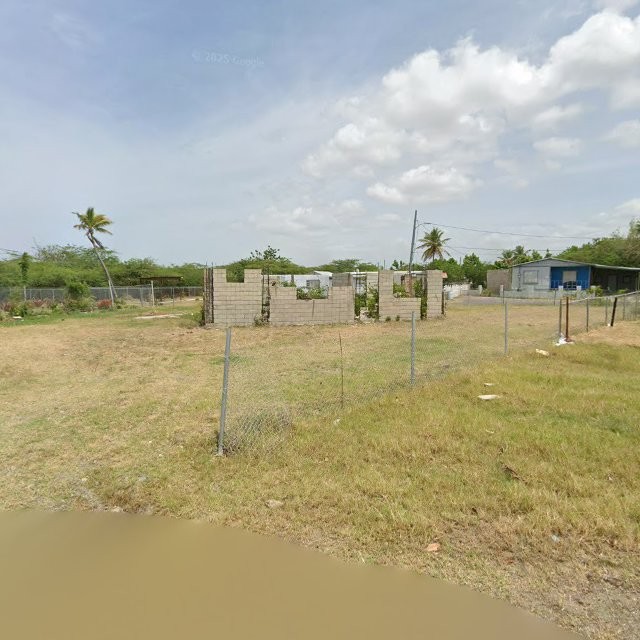 Reporte ciudadano de estorbo público en XQ8W+PF7 Pozo Hondo, Guayama, Puerto Rico, Guayama