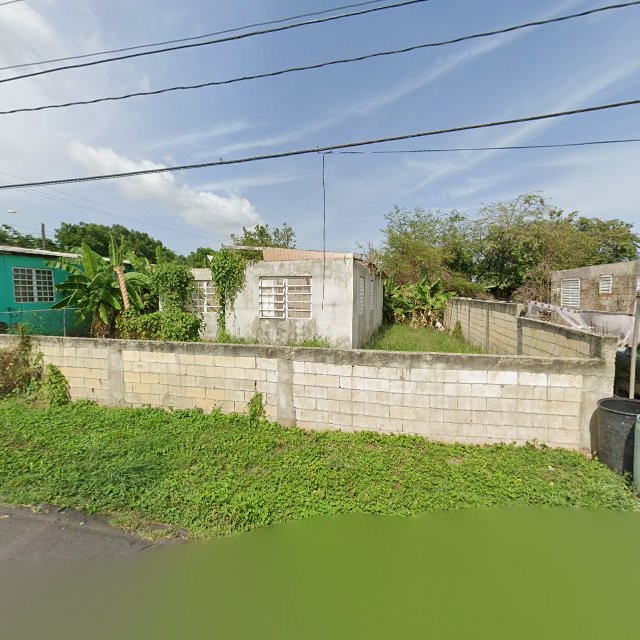 Reporte ciudadano de estorbo público en WVX9+J9R Guayama, Puerto Rico, Guayama