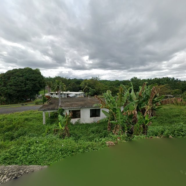 Reporte ciudadano de estorbo público en 9V5X+6GR Guaynabo, Puerto Rico, Guaynabo
