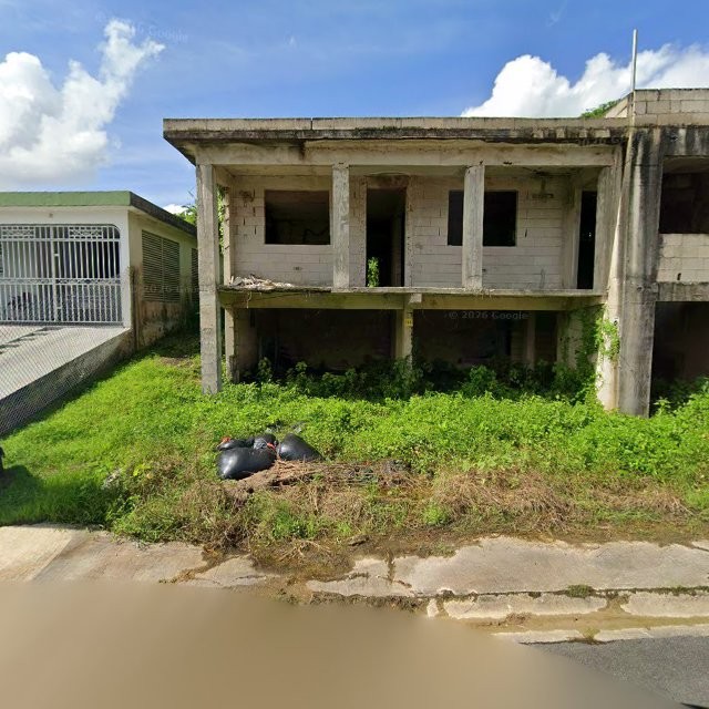 Reporte ciudadano de estorbo público en 729R+8F5 Celada, Gurabo, Puerto Rico, Gurabo