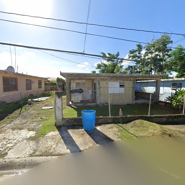 Reporte ciudadano de estorbo público en 6XHX+P9P Parcelas de Navarro, Gurabo, Puerto Rico, Gurabo