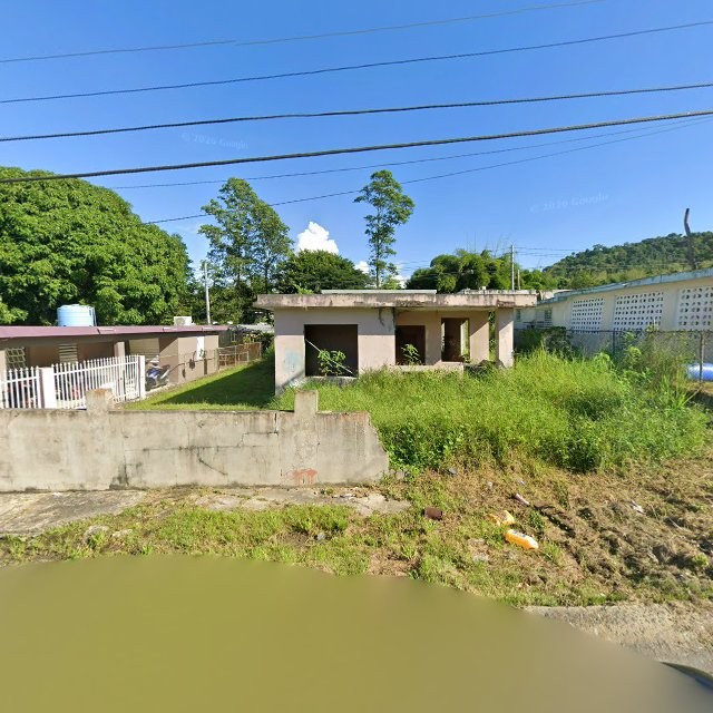 Reporte ciudadano de estorbo público en 6XJX+QJ8 Parcelas de Navarro, Gurabo, Puerto Rico, Gurabo