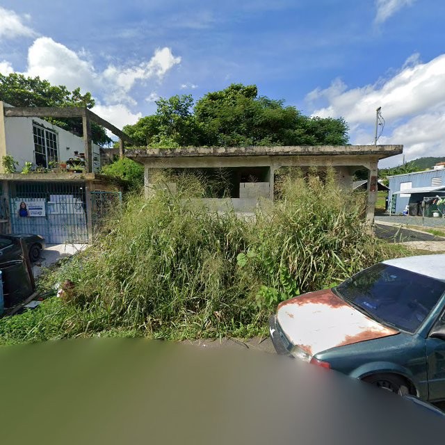 Reporte ciudadano de estorbo público en 728Q+HFQ Celada, Gurabo, Puerto Rico, Gurabo