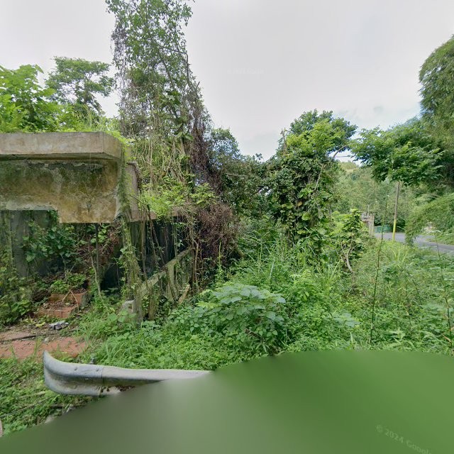 Reporte ciudadano de estorbo público en 8227+H2C Celada, Gurabo, Puerto Rico, Gurabo