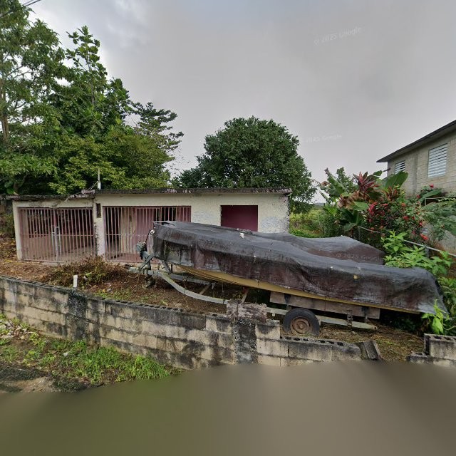 Reporte ciudadano de estorbo público en 55PV+C69 Antón Ruíz, Humacao, Puerto Rico, Humacao