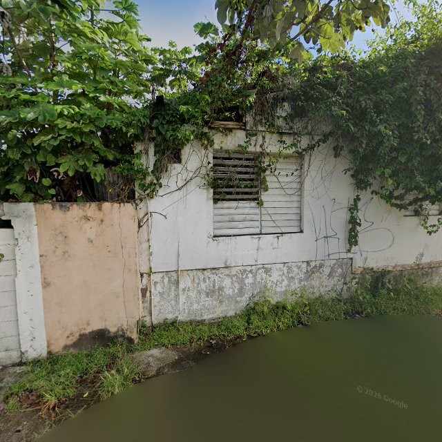 Reporte ciudadano de estorbo público en 5784+592 Punta Santiago, Humacao, Puerto Rico, Humacao