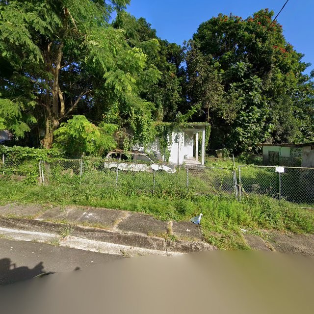 Reporte ciudadano de estorbo público en 559C+6RM Humacao, Puerto Rico, Humacao