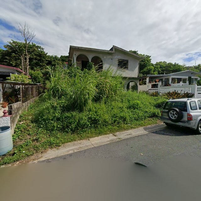 Reporte ciudadano de estorbo público en 35VM+VG5 Candelero Abajo, Humacao, Puerto Rico, Humacao