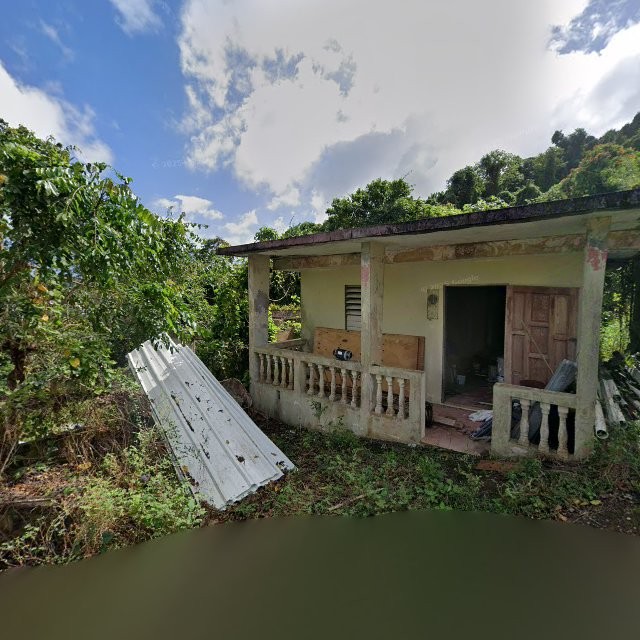 Reporte ciudadano de estorbo público en 652M+8C3 Collores, Humacao, Puerto Rico, Humacao