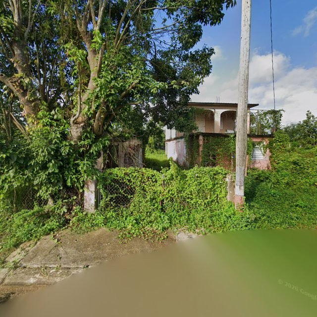 Reporte ciudadano de estorbo público en 568X+J33 Punta Santiago, Humacao, Puerto Rico, Humacao