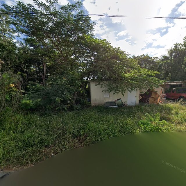Reporte ciudadano de estorbo público en 45VC+CRF Humacao, Puerto Rico, Humacao