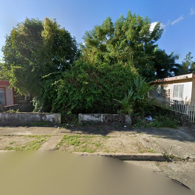 Reporte ciudadano de estorbo público en 554F+29Q Humacao, Puerto Rico, Humacao