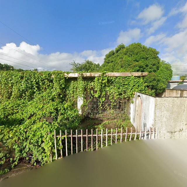 Reporte ciudadano de estorbo público en 568W+7QV Punta Santiago, Humacao, Puerto Rico, Humacao