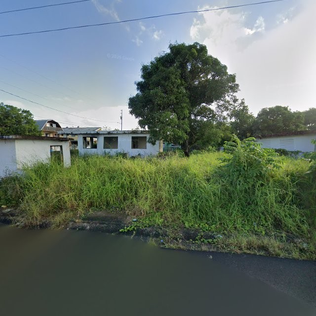 Reporte ciudadano de estorbo público en 568X+FWR Punta Santiago, Humacao, Puerto Rico, Humacao