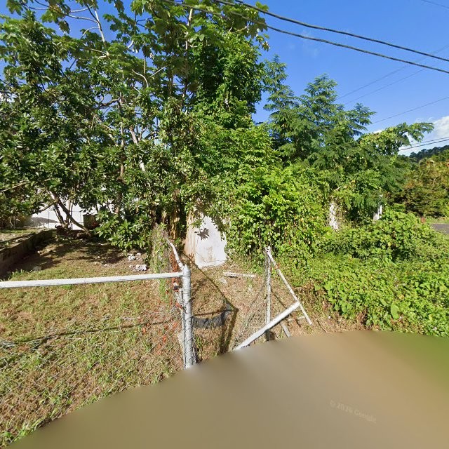 Reporte ciudadano de estorbo público en 558C+XJ2 Humacao, Puerto Rico, Humacao