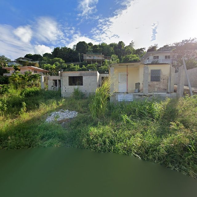 Reporte ciudadano de estorbo público en 552R+V6X Humacao, Puerto Rico, Humacao