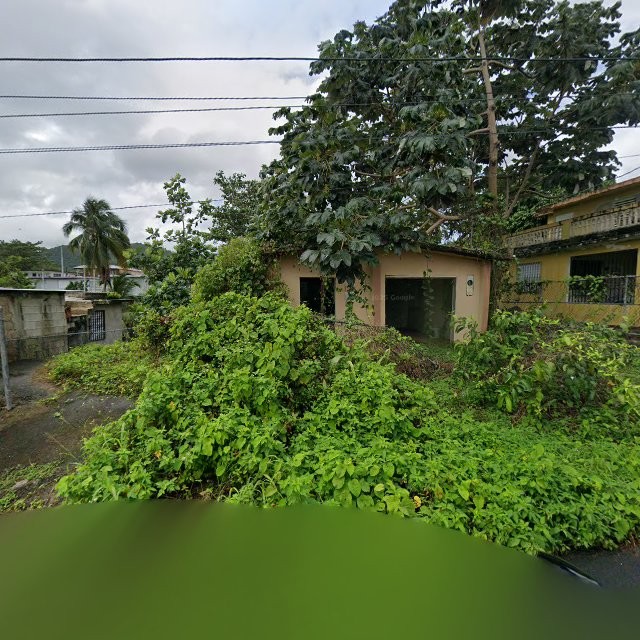 Reporte ciudadano de estorbo público en 55PQ+768 Antón Ruíz, Humacao, Puerto Rico, Humacao