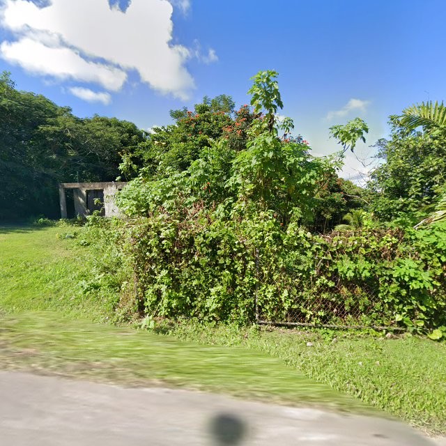Reporte ciudadano de estorbo público en 459F+8G7 Cataño, Humacao, Puerto Rico, Humacao