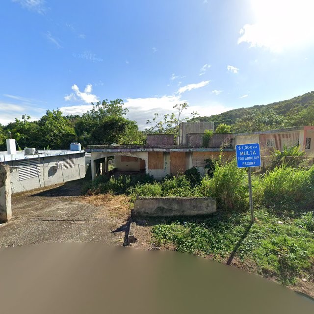 Reporte ciudadano de estorbo público en 5679+5C7 Bajandas, Humacao, Puerto Rico, Humacao