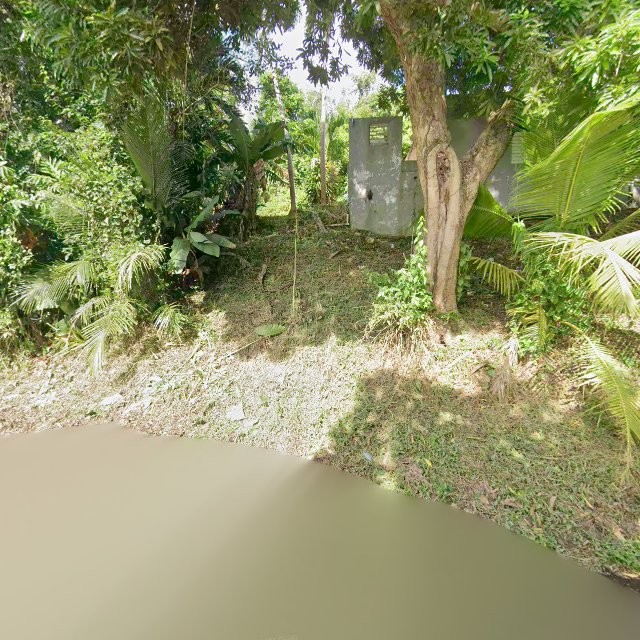 Reporte ciudadano de estorbo público en 55XR+25F Antón Ruíz, Humacao, Puerto Rico, Humacao