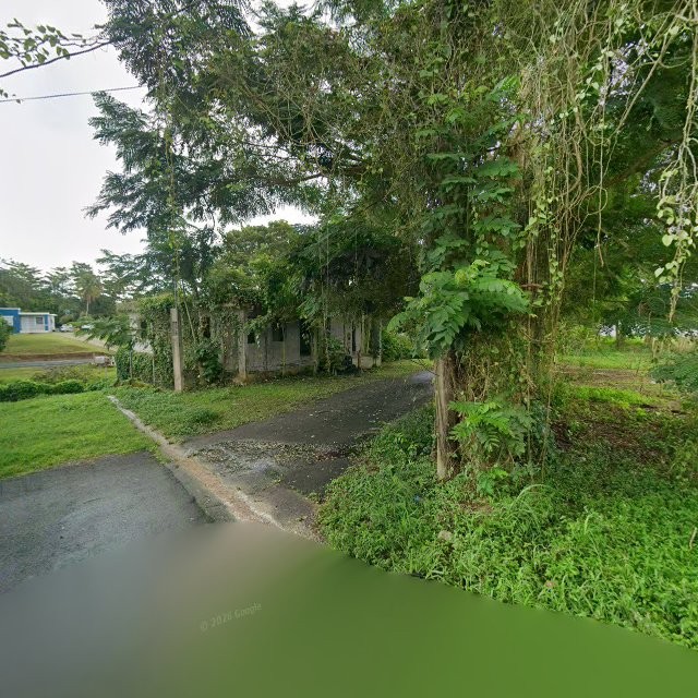 Reporte ciudadano de estorbo público en 55PR+WJQ Antón Ruíz, Humacao, Puerto Rico, Humacao
