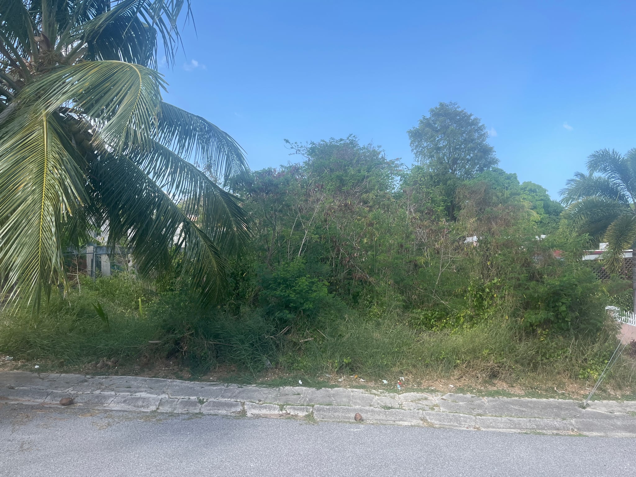 Reporte ciudadano de estorbo público en Estancias de Juana Díaz Calle Laurel terreno al final de la calle, Juana Diaz, PR 00795, Juana Díaz