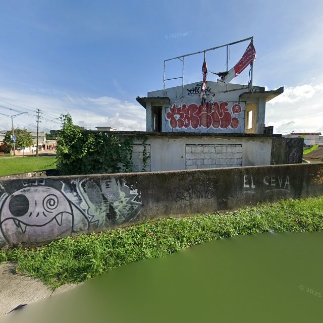 Reporte ciudadano de estorbo público en 63MH+C34 Juncos, Puerto Rico, Juncos