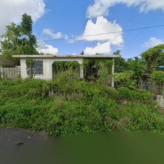Reporte ciudadano de estorbo público en 63GC+9XF Juncos, Puerto Rico, Juncos