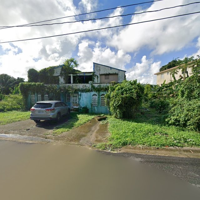 Reporte ciudadano de estorbo público en 53VC+G5X Juncos, Puerto Rico, Juncos