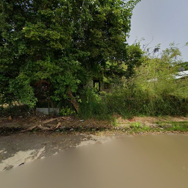 Reporte ciudadano de estorbo público en 2W3G+RW2 Maguayo, Lajas, Puerto Rico, Lajas
