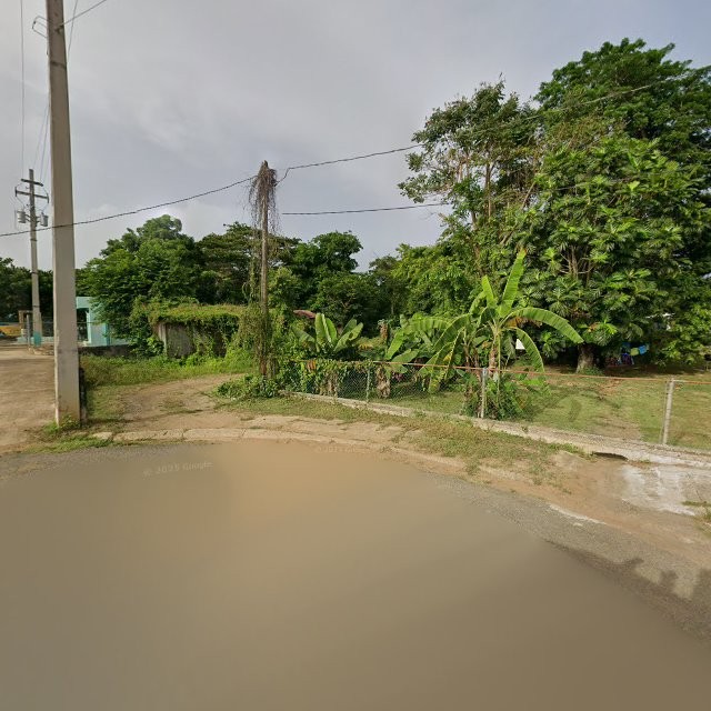Reporte ciudadano de estorbo público en 2WQG+GCF Palmarejo, Lajas, Puerto Rico, Lajas