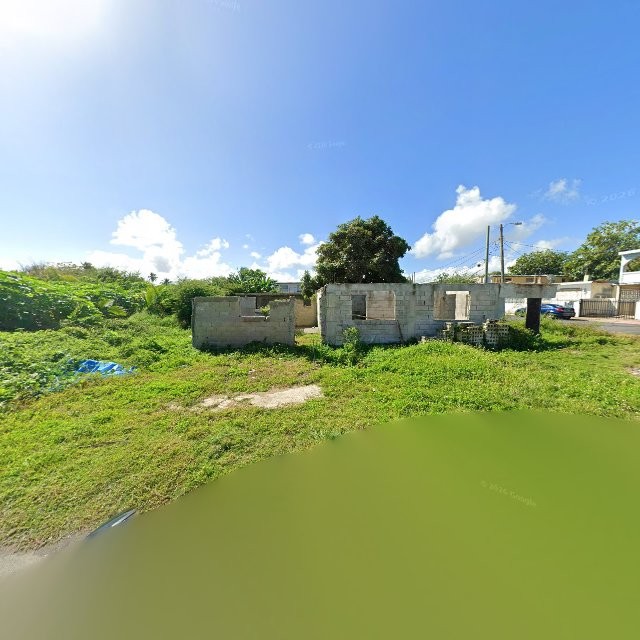 Reporte ciudadano de estorbo público en C5G8+PRJ Vieques, Loíza, Puerto Rico, Loíza