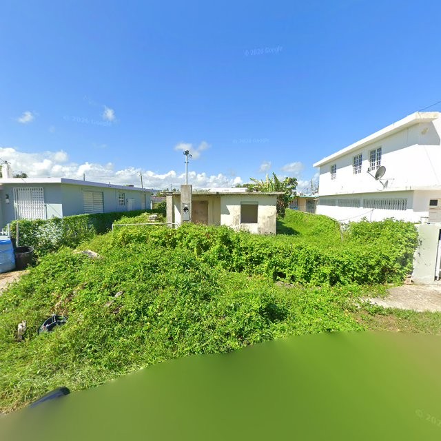 Reporte ciudadano de estorbo público en C5F8+Q4G Vieques, Loíza, Puerto Rico, Loíza