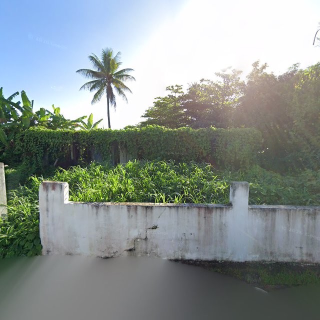 Reporte ciudadano de estorbo público en C585+6FC Vieques, Loíza, Puerto Rico, Loíza