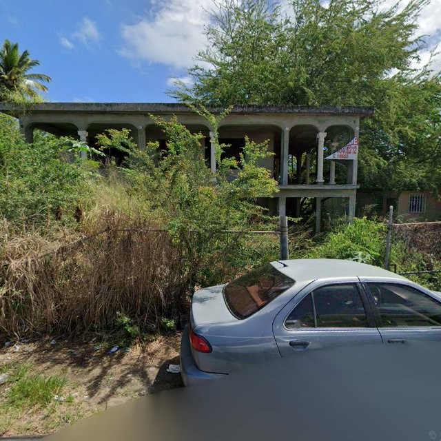 Reporte ciudadano de estorbo público en C5G4+77Q Medianía Alta, Loíza, Puerto Rico, Loíza
