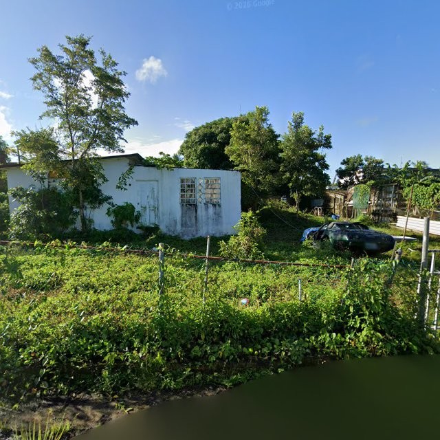 Reporte ciudadano de estorbo público en C585+FFF Vieques, Loíza, Puerto Rico, Loíza