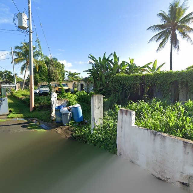 Reporte ciudadano de estorbo público en C585+7FJ Vieques, Loíza, Puerto Rico, Loíza