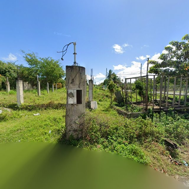 Reporte ciudadano de estorbo público en C4HW+599 Suarez, Loíza, Puerto Rico, Loíza