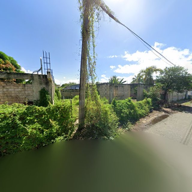 Reporte ciudadano de estorbo público en C5G5+QJ7 Vieques, Loíza, Puerto Rico, Loíza