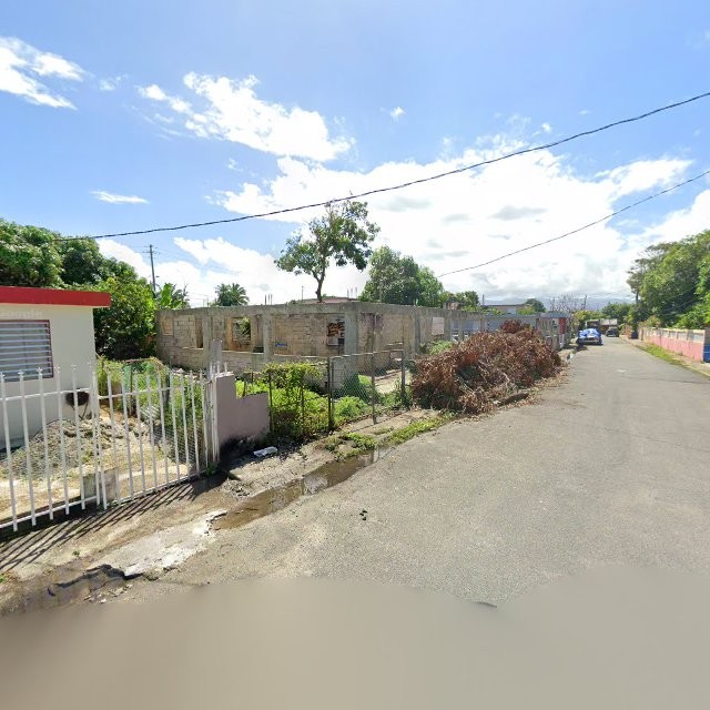 Reporte ciudadano de estorbo público en C5G5+3HJ Vieques, Loíza, Puerto Rico, Loíza
