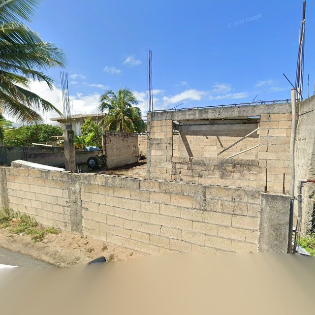 Reporte ciudadano de estorbo público en C5G5+MMP Vieques, Loíza, Puerto Rico, Loíza