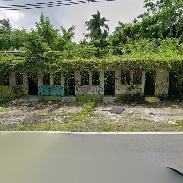 Reporte ciudadano de estorbo público en 965W+WW8 Playa Fortuna, Luquillo, Puerto Rico, Luquillo
