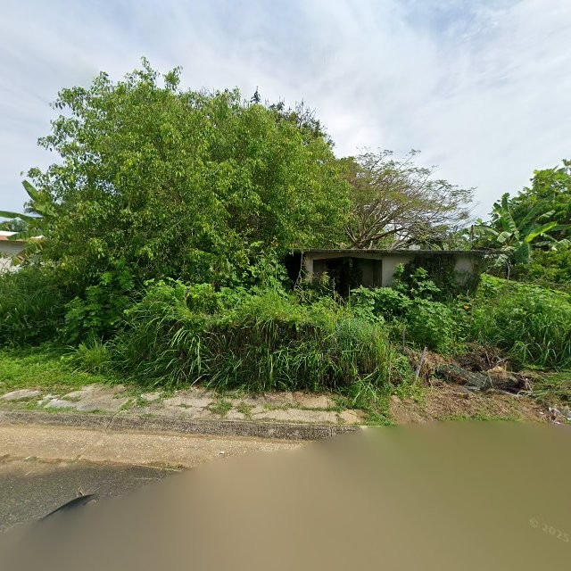Reporte ciudadano de estorbo público en FG85+2RP Tierras Nuevas Poniente, Manatí, Puerto Rico, Manatí