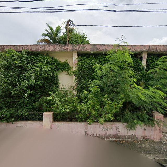 Reporte ciudadano de estorbo público en 6R7R+6WM Mayagüez, Puerto Rico, Mayagüez