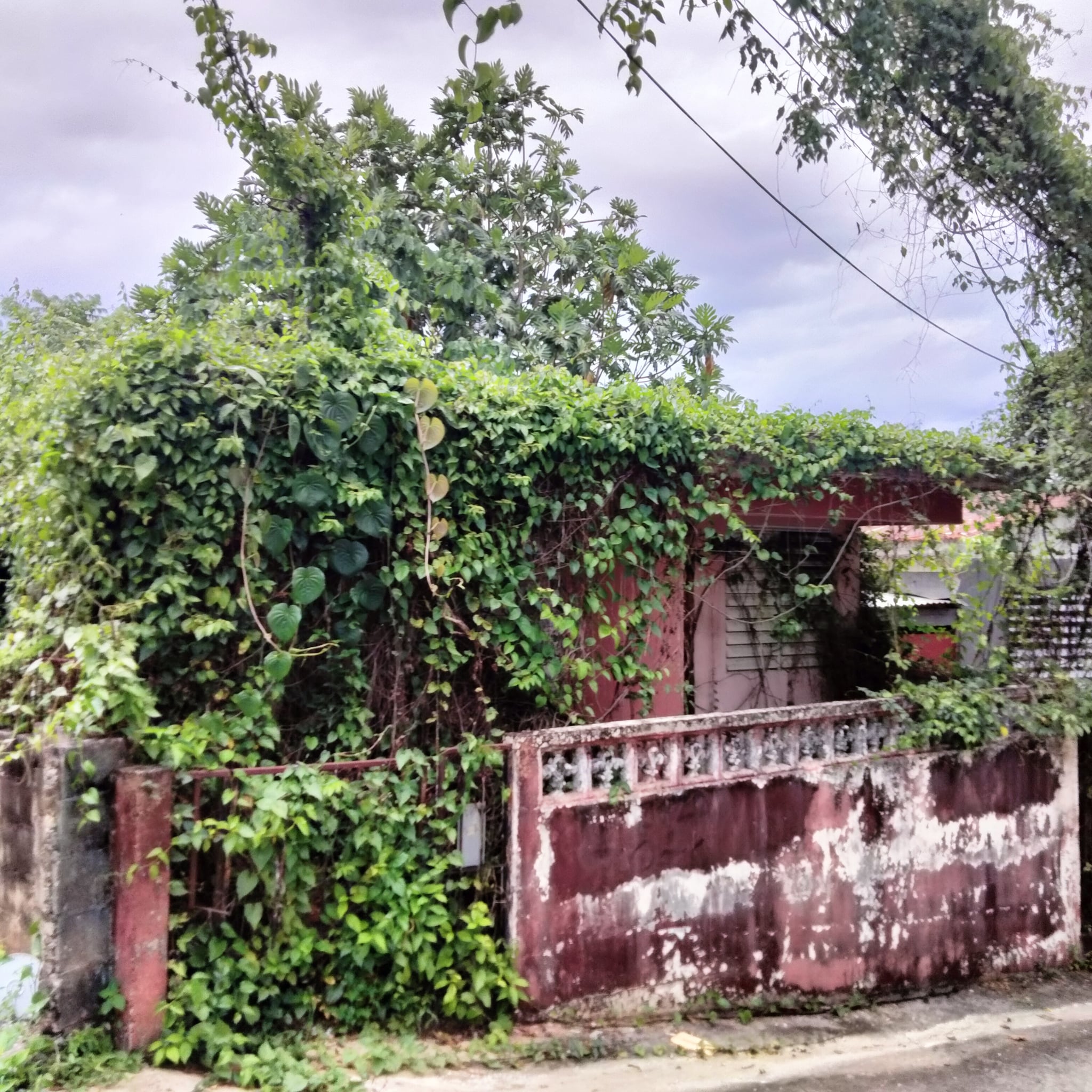 Reporte ciudadano de estorbo público en Calle Aguacate #6, Broadway, Mayagüez , PR 00680, Mayagüez